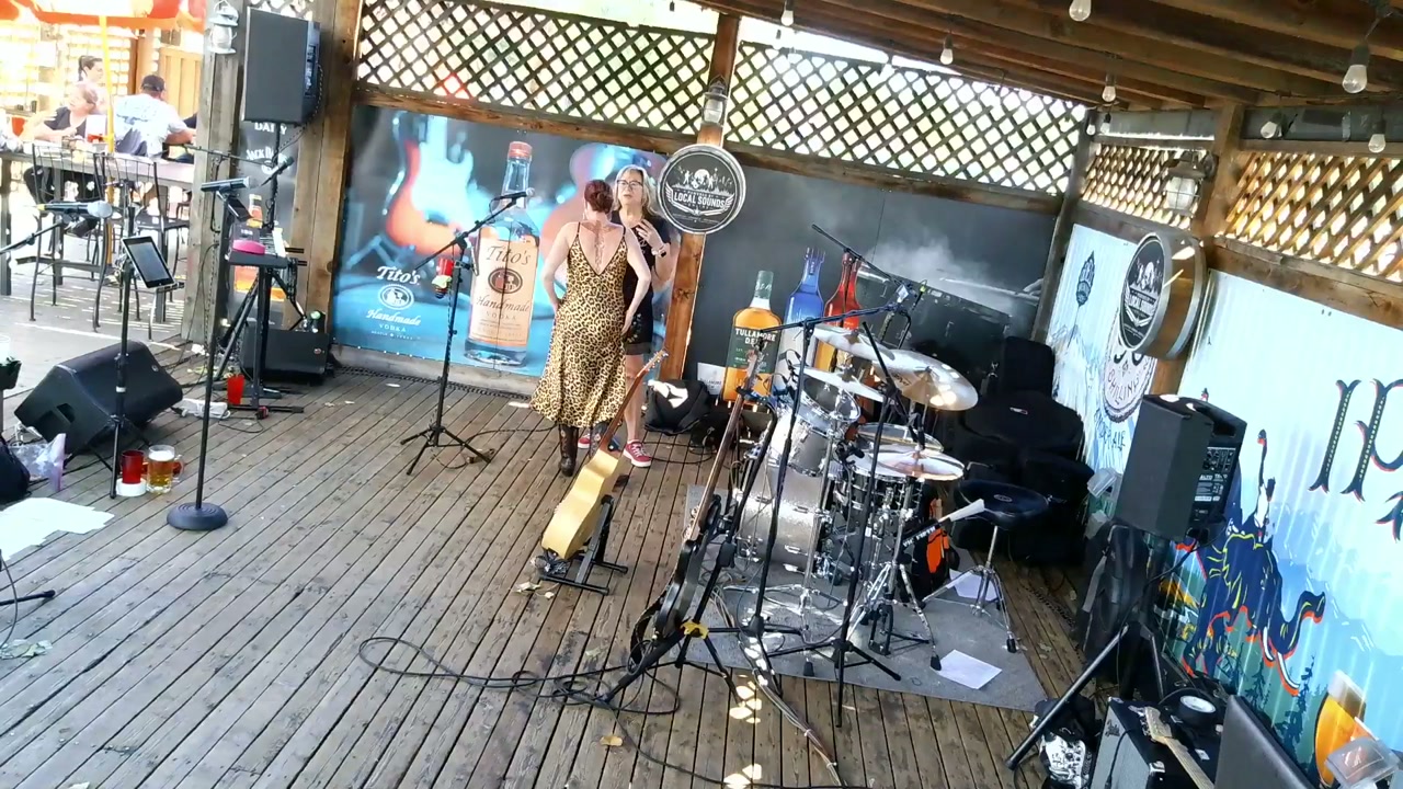 SHELVIS AND THE ROUSTABOUTS